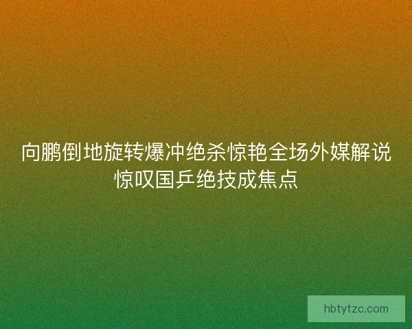 向鹏倒地旋转爆冲绝杀惊艳全场外媒解说惊叹国乒绝技成焦点