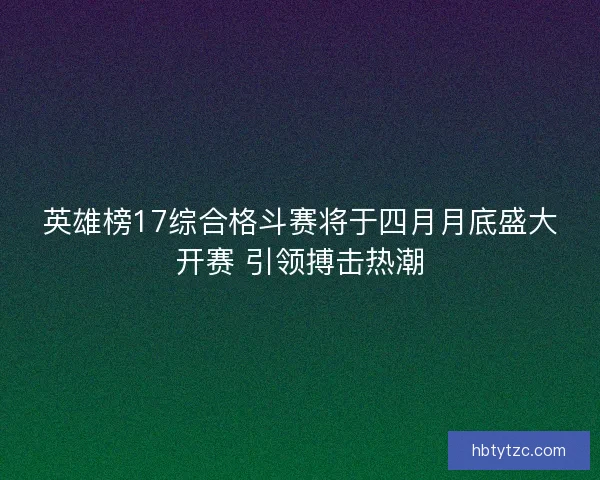 英雄榜17综合格斗赛将于四月月底盛大开赛 引领搏击热潮